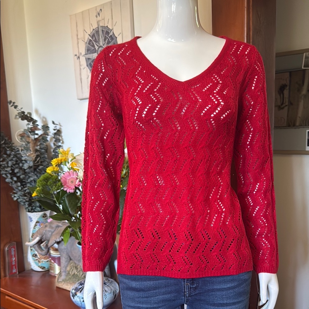 NWT Style&Co size small Red V-Neck Women's Sweater